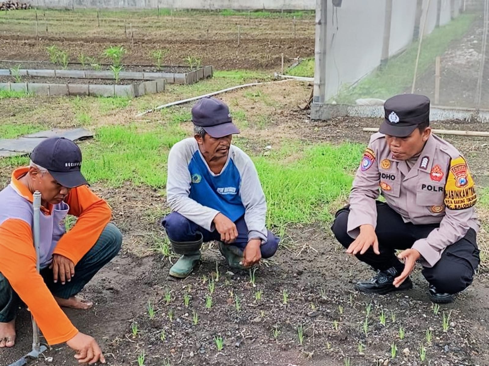 Polisi Pantau Pekarangan Pangan Bergizi di Balongbendo, Dukung Ketahanan Pangan Nasional