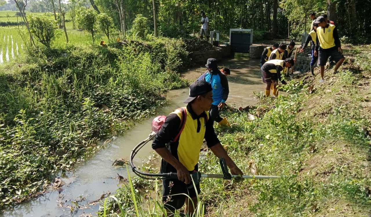 PUSDA Jatim Bergerak, Saluran Irigasi Pateguhan Kembali Bersih dari Rumput Liar