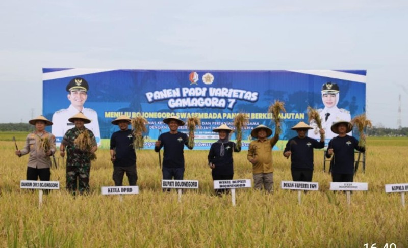 Panen Raya Bareng UGM, Bupati Setyo Wahono Targetkan Bojonegoro Produsen Padi Tertinggi Nasional 2028