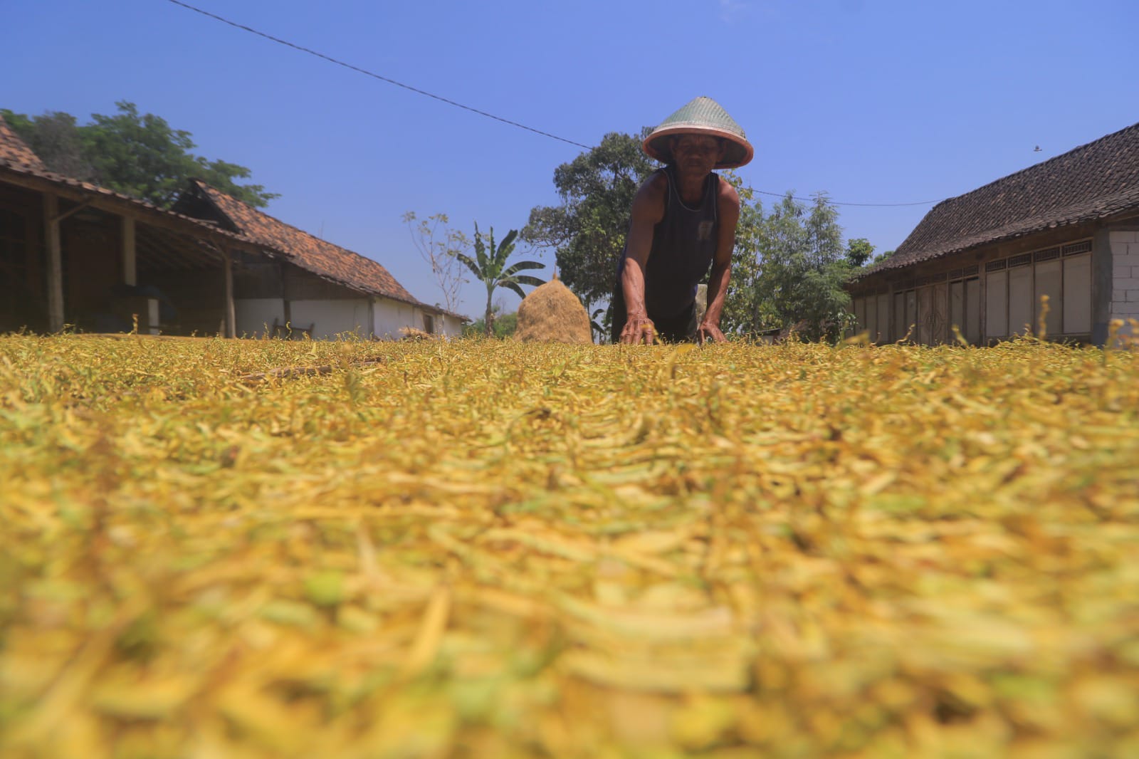 1.857 Petani dan Buruh Pabrik Rokok di Kabupaten Madiun Akan Terima BLT Dana Cukai