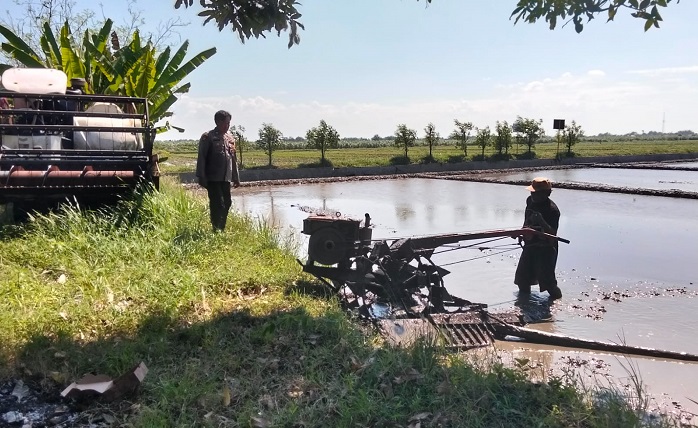 Polisi Cinta Petani Prambon Dampingi Petani Bajak Sawah