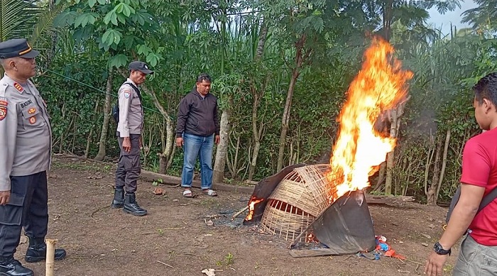 Polisi Musnahkan Arena Judi Sabung Ayam di Kalipare Malang