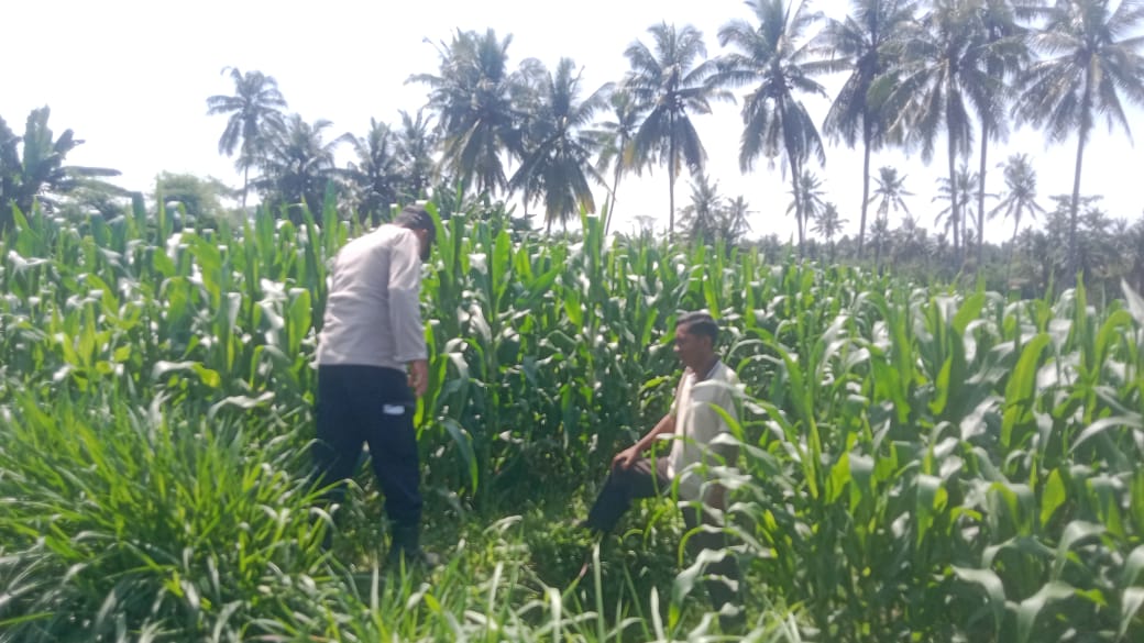 Sukseskan Program Asta Cita, Polri Gandeng Petani Candipuro Dukung Program Ketahanan Pangan Nasional