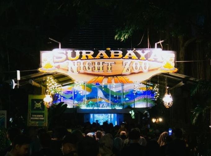 Seru! Intip Sensasi Wisata Malam di Surabaya Night Zoo