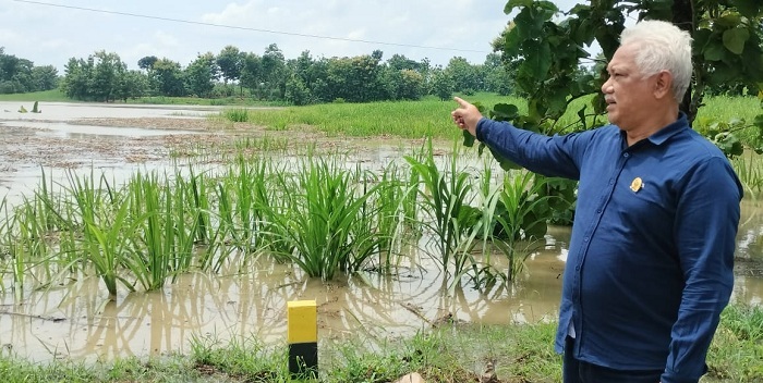 Ketua DPRD Ngawi Minta Pemkab Bantu Warga dan Petani Terdampak Banjir