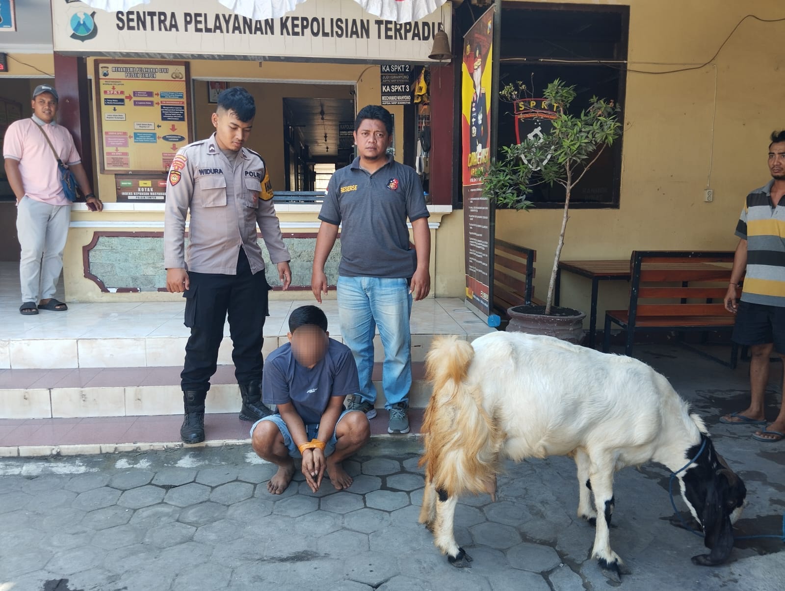 Maling Kambing di Tempeh Lumajang ternyata Tetangga 