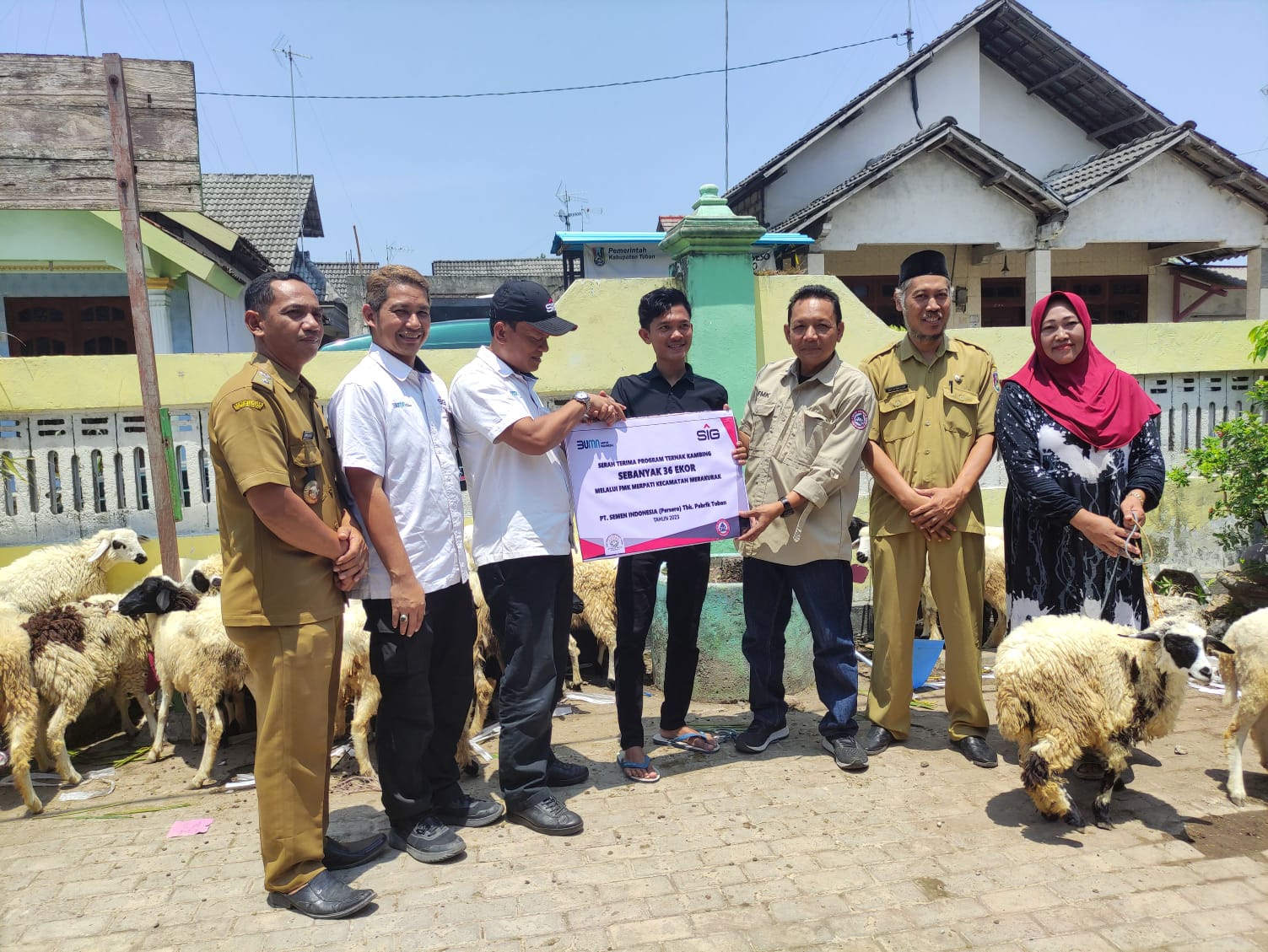 SIG Pabrik Tuban Serahkan Bantuan 36 Ekor Kambing kepada Kelompok Taruna Tani Desa Sumberejo