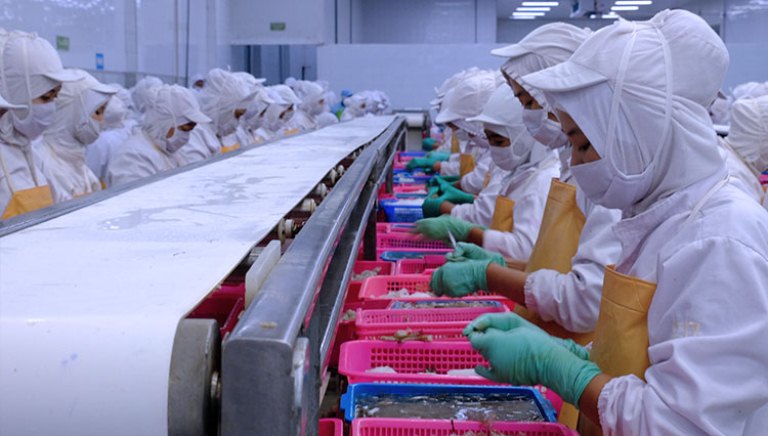 Penyerapan Tenaga Kerja Agustus 2025 Capai 146,54 Juta Orang Seiring Pertumbuhan Ekonomi