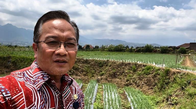 Demplot Padi Jagung Tangani Percepatan Swasembada Pangan