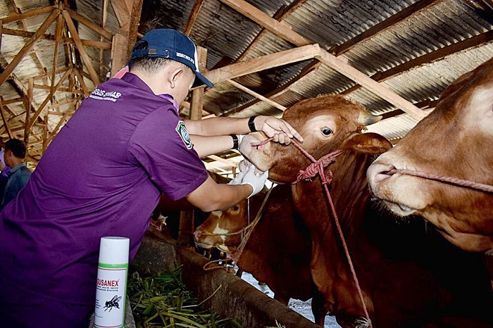 PMK di Lumajang Menurun hingga 70 Persen