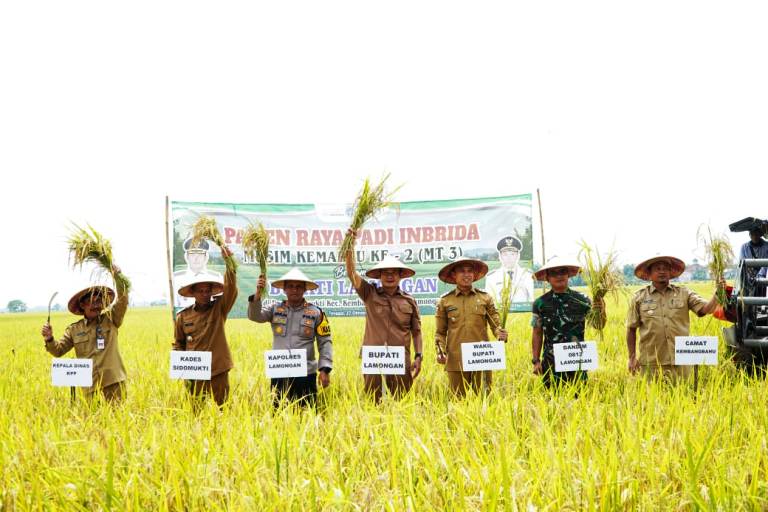 Lamongan Raih Peringkat Pertama Produksi Padi Se-Jawa Timur