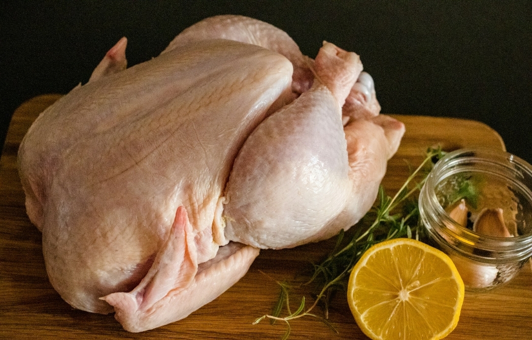 Nutrisi Alami untuk Teman Berbulu Anda, Simak Manfaat Air Rebusan Ayam bagi Kucing