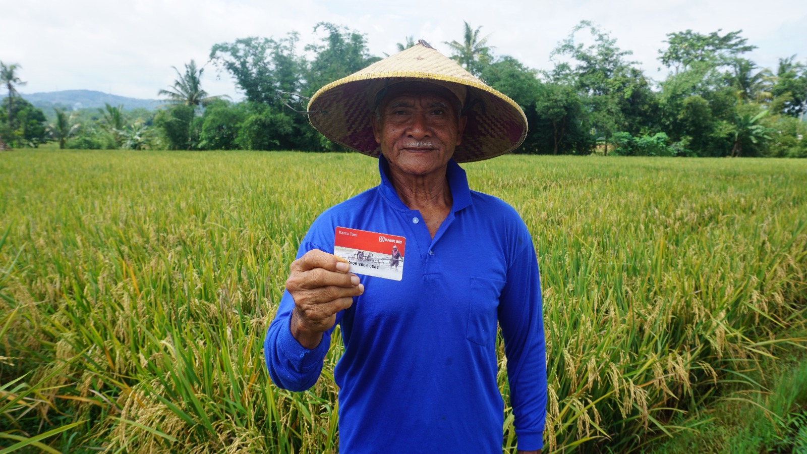 Punya 3 Cabang, AgenBRILink Ini Sukses Bantu Petani Dapatkan Akses Layanan Keuangan