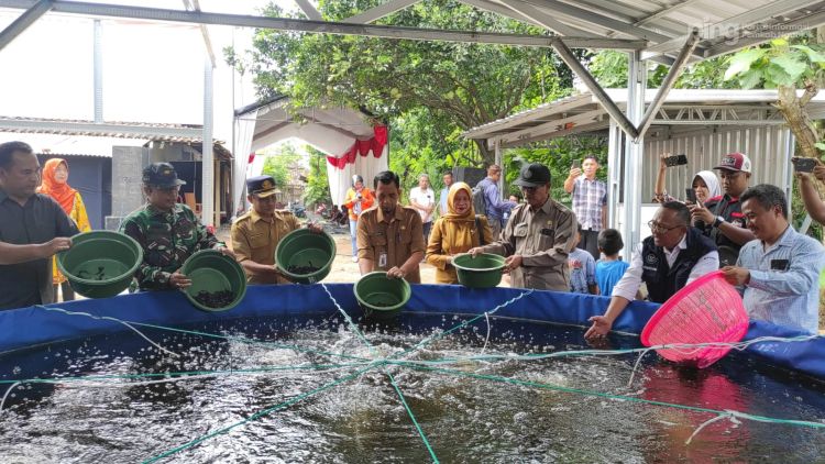 Dinas KPP Nganjuk Siapkan 60 Ribu Bibit Lele Dukung Ketahanan Pangan