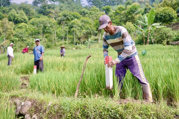 Pasang Patok Batas, Cara Sederhana Cegah Sengketa Tanah di Tulungagung