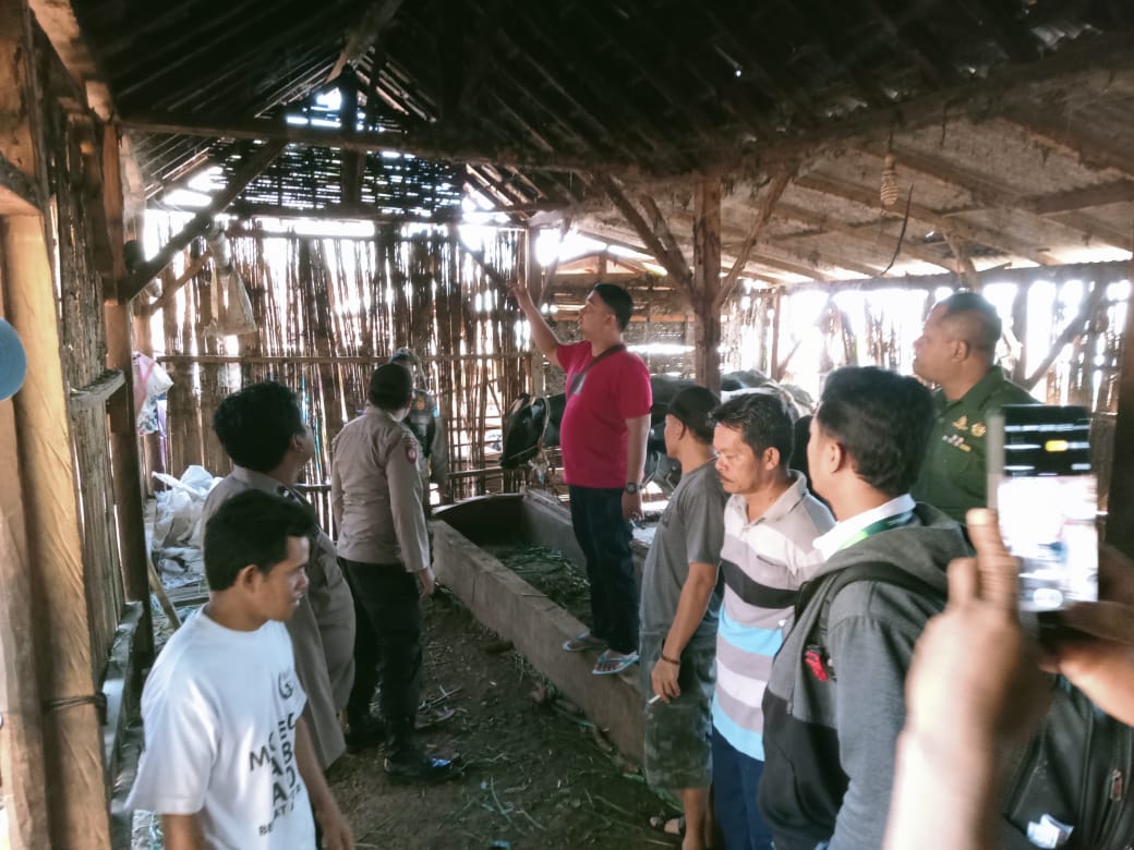 Pulang Haul di Solo, Warga Pasuruan Akhiri Hidup di Kandang Sapi