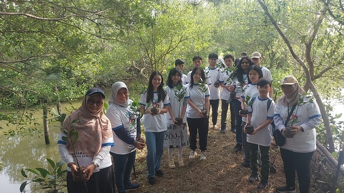 Peringati 2 Tahun Kebun Raya Mangrove, DKPP Surabaya Gelar Aksi Penanaman 1.000 Pohon Mangrove