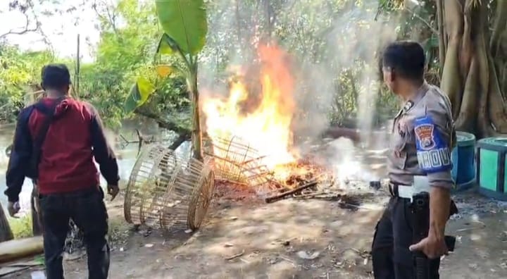 Polisi Bakar Arena Sabung Ayam di Kemantren Tulangan Sidoarjo