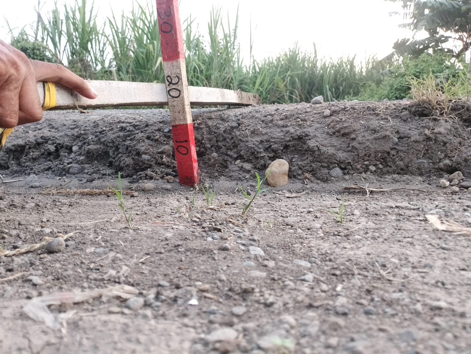 Sarat Ketimpangan, Rehabilitasi Jalan Kedunglosari-Juwet Disoal