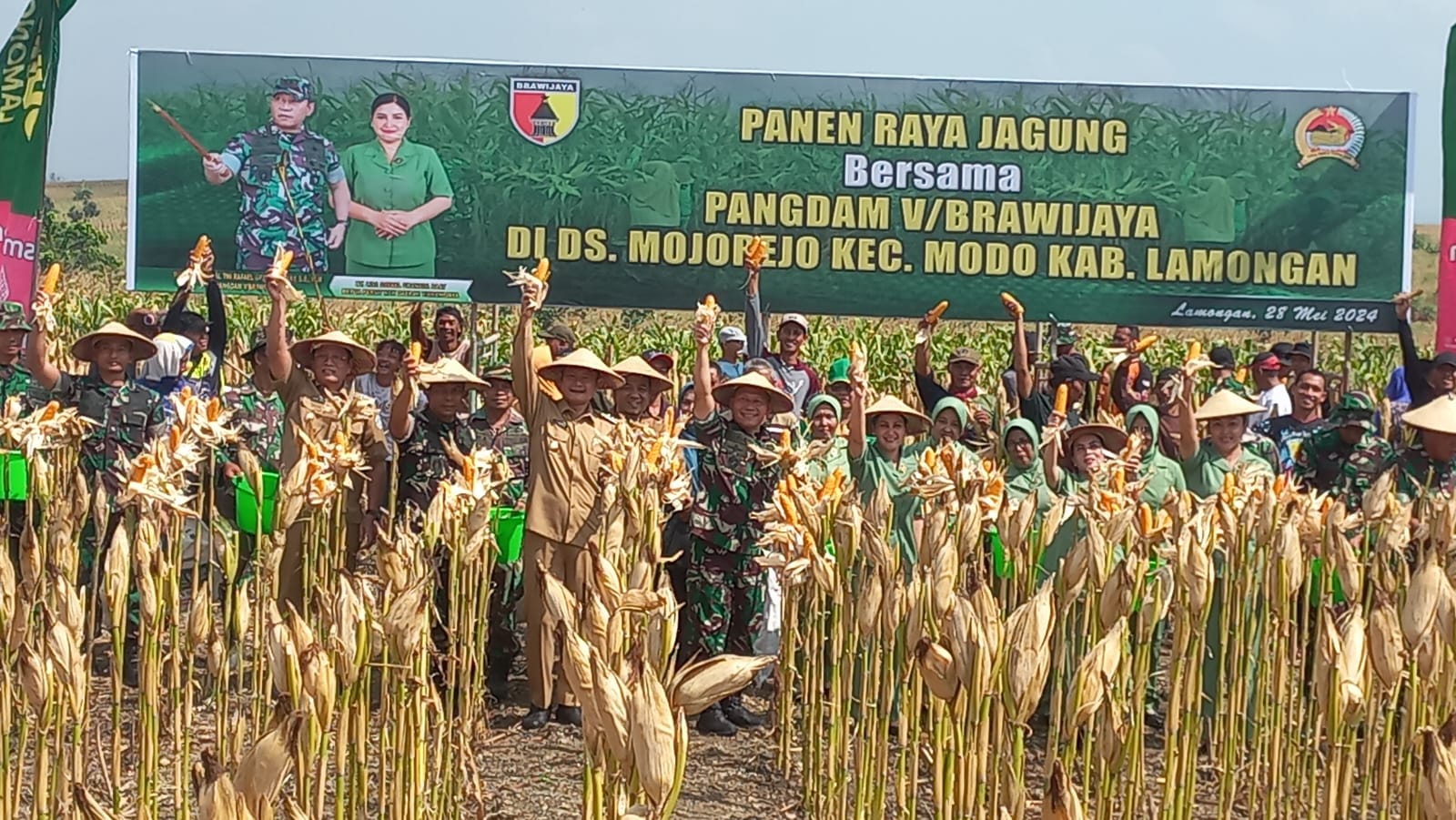 Pangdam V/Brawijaya Tanam Jagung Lahan Tadah Hujan di Lamongan