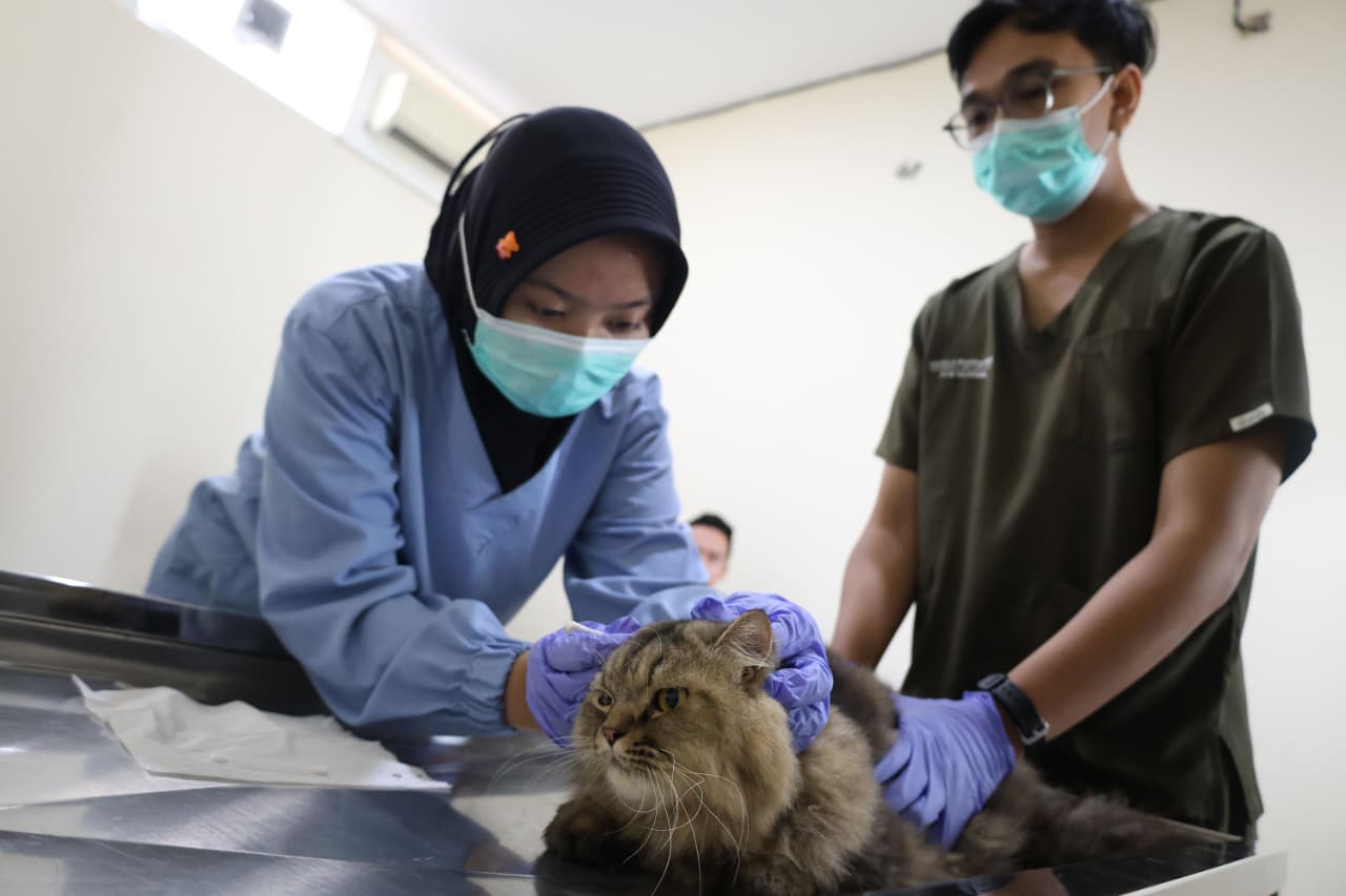 Mudik Tenang, Titip Anabul di Puskeswan Cuma Rp 30 Ribu