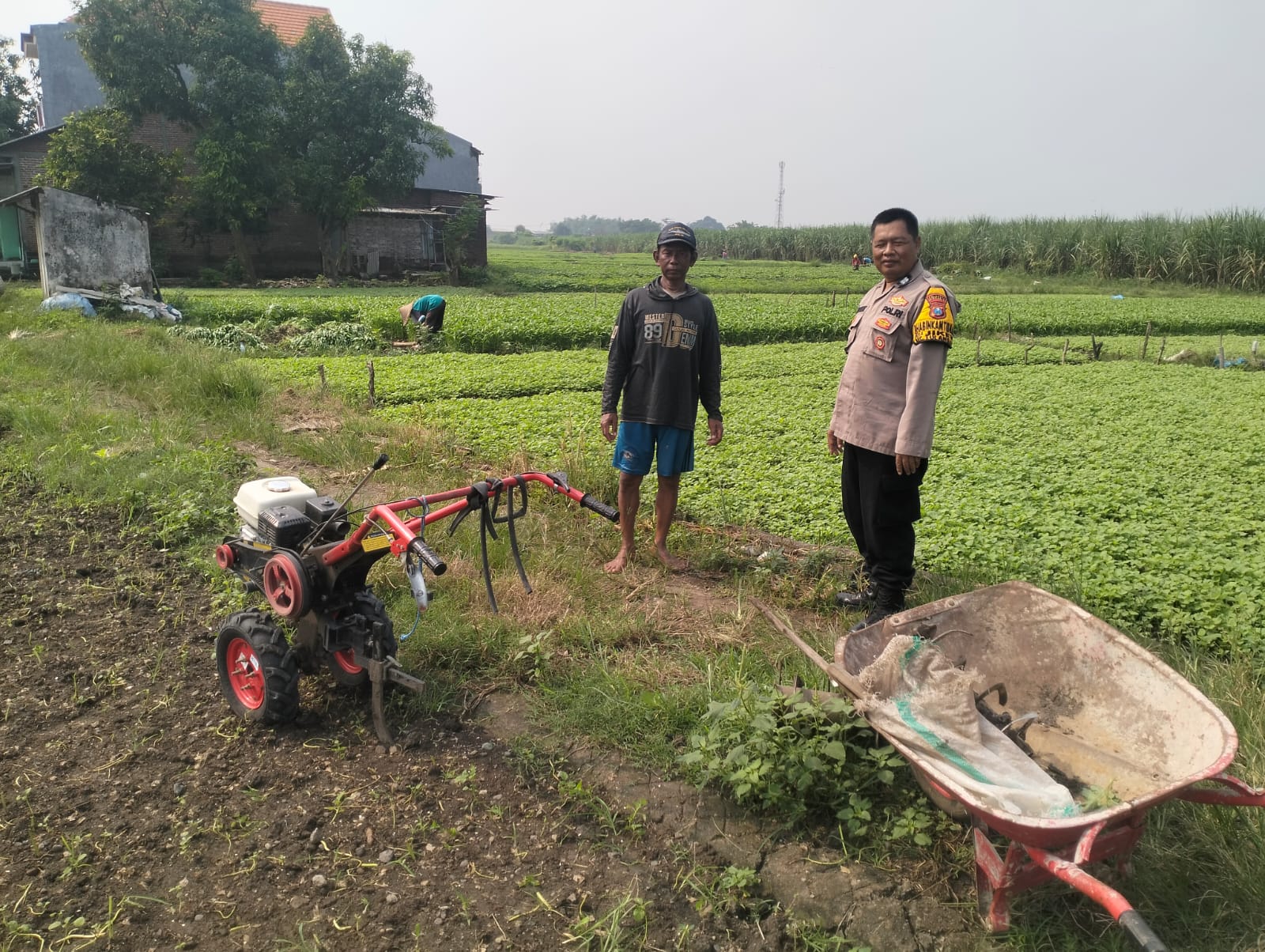 Bhabinkamtibmas Desa Jiken Tulangan Tinjau Lahan P2B, Dukung Program Ketahanan Pangan Asta Cita Presiden