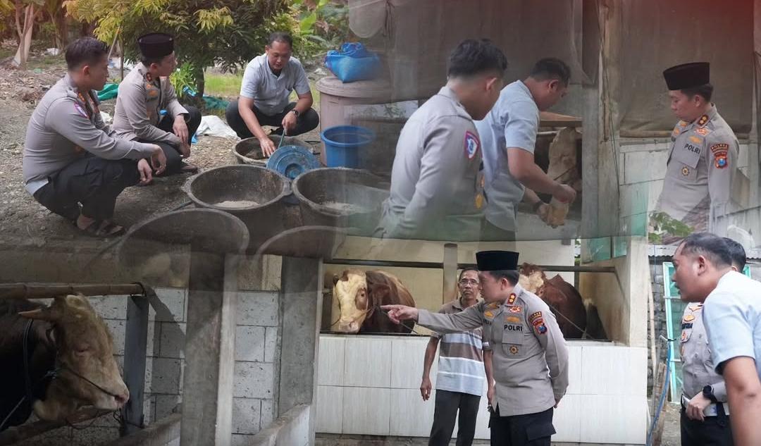 Antisipasi Penyebaran PMK, Kapolres Bojonegoro Turun Langsung Cek Kesehatan Ternak Sapi di Balen