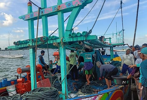 Kesulitan Jual Hasil Tangkapan, Nelayan Bawean Keluhkan Sarpras Pelabuhan Perikanan