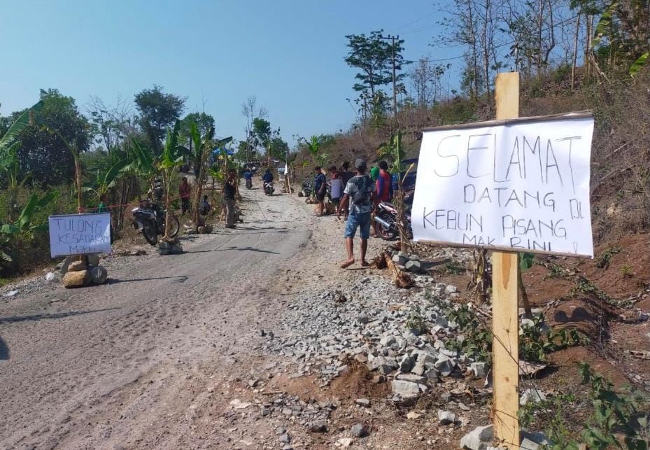 Protes Jalan Rusak, Warga Kebonsari Blitar Lakukan Aksi Tanam Pohon Pisang