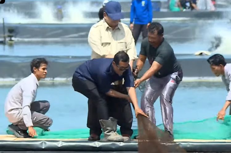 Prabowo Ikut Tarik Jaring Nelayan saat Panen Raya Udang di Kebumen