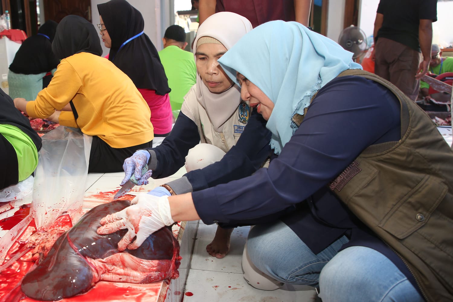 DKPP Surabaya Pastikan Penyembelihan Hewan Kurban Sesuai Syariat dan SE Walikota, Edukasi Jadi Prioritas