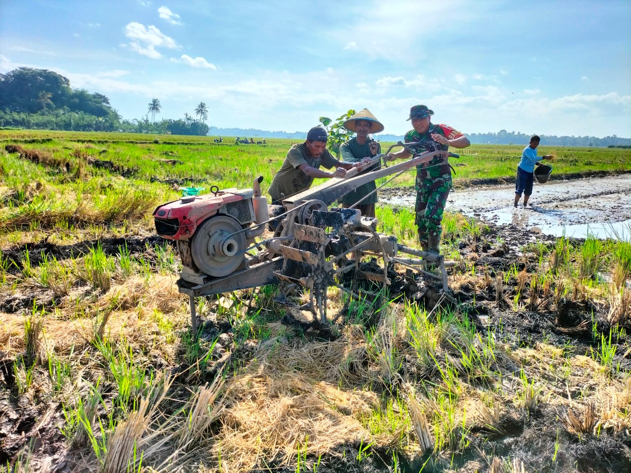 TNI Lumajang Aktif Bantu Petani Olah Lahan Jelang Musim Tanam untuk Perkuat Ketahanan Pangan