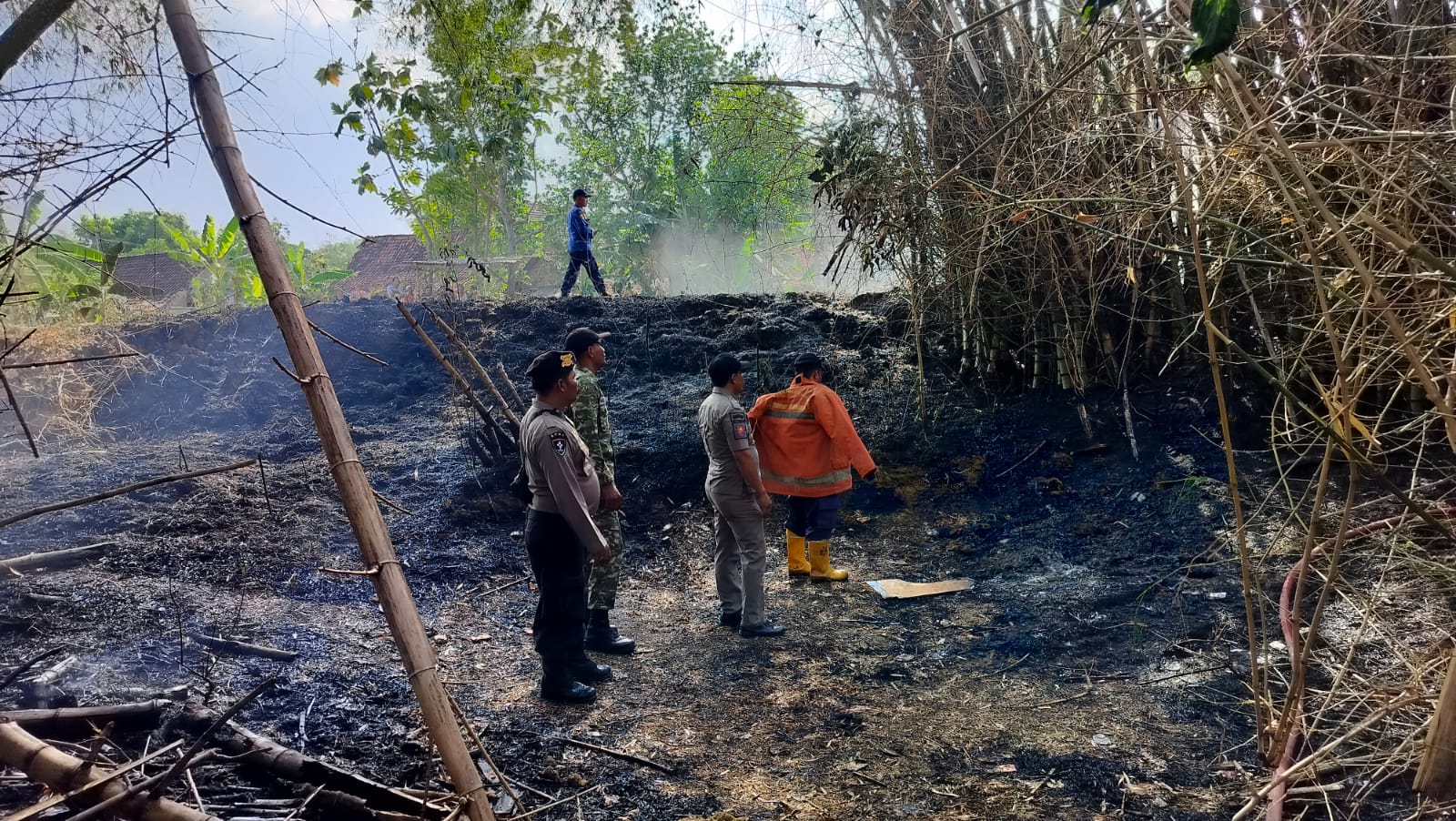 Bakar Sampah Sembarangan, Dua Lahan di Kedungpring Lamongan Hangus Terbakar