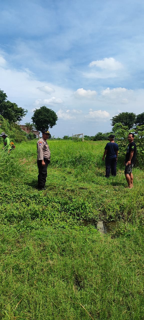 Polsek Tanggulangin dan Warga Siapkan Lahan Jagung di Kedensari, Dukung Program Ketahanan Pangan