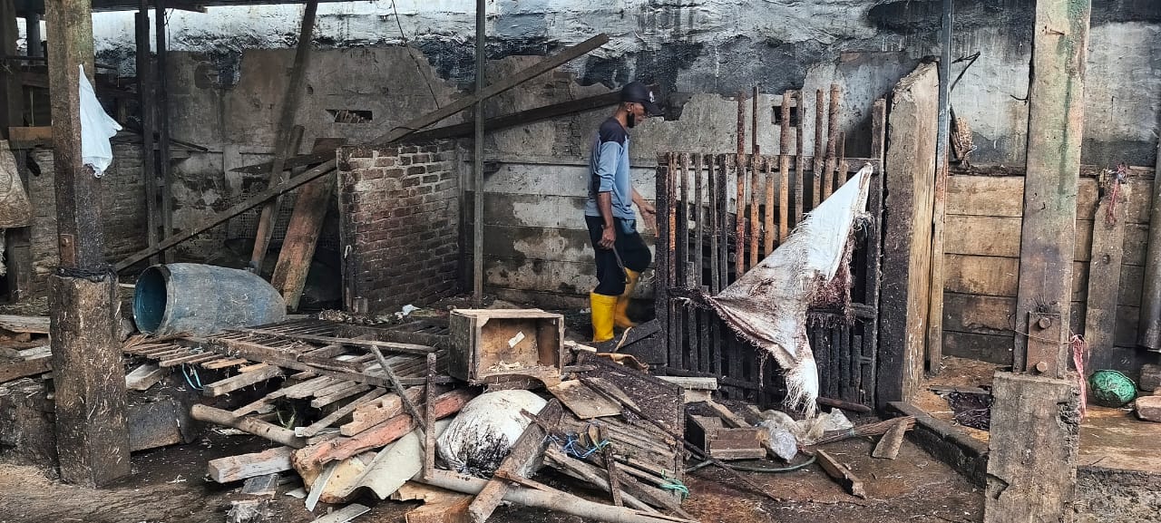 Disebut Tanpa Dialog, Penertiban Unggas Pasar Tembok Dukuh Diprotes Pedagang