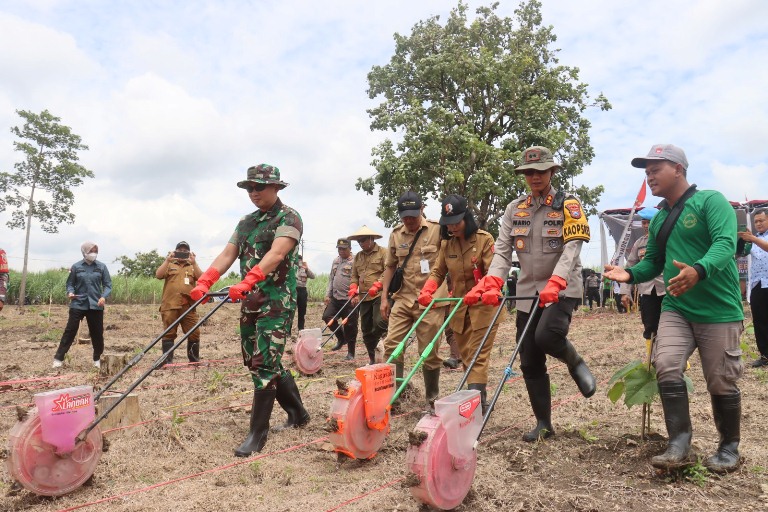 Kapolres Bersama Dandim Bojonegoro Tanam Jagung Serentak 1 Juta Hektare di Bubulan