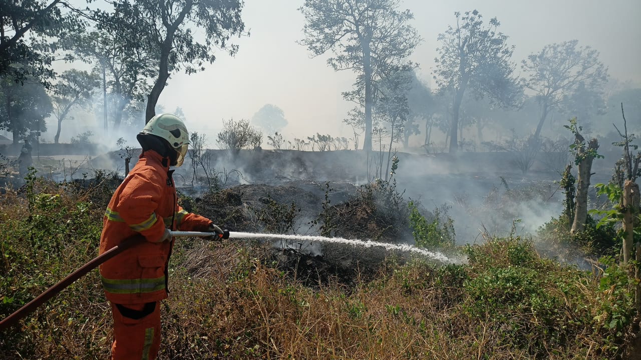 Lahan Kosong 4,5 Hektare di Kertajaya Indah Regency Dilalap Api