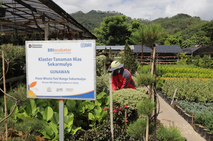 Perkuat Ekonomi Kerakyatan, BRI Berdayakan 41 ribu Klaster Usaha melalui Pembiayaan dan Literasi Keuangan