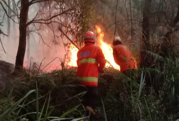 Gunung Batok Terbakar Lagi, Api Muncul di Tengah Ritual Yadnya Kasada Bromo