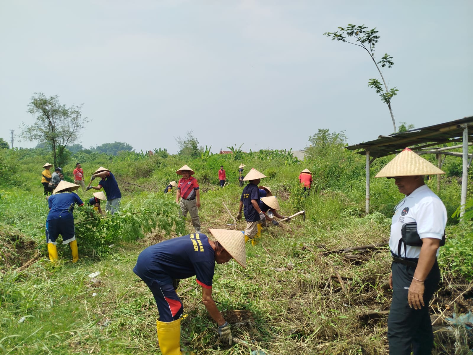 Lapas Jember Buktikan Warga Binaan Berkontribusi Dukung Ketahanan Pangan, Sulap Lahan Tidur Jadi Ladang Subur