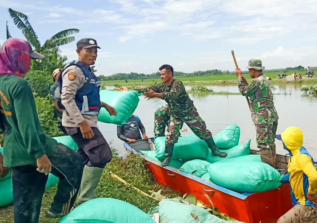 TNI, Polri, BPBD Hingga Masyarakat Perbaiki Tanggul Ambrol di Desa Kedungprimpen