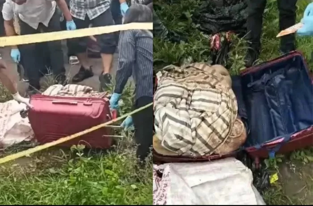 Mayat Wanita Mutilasi dalam Koper di Ngawi, Potongan Tubuh Ditemukan di Hutan Ponorogo dan Trenggalek