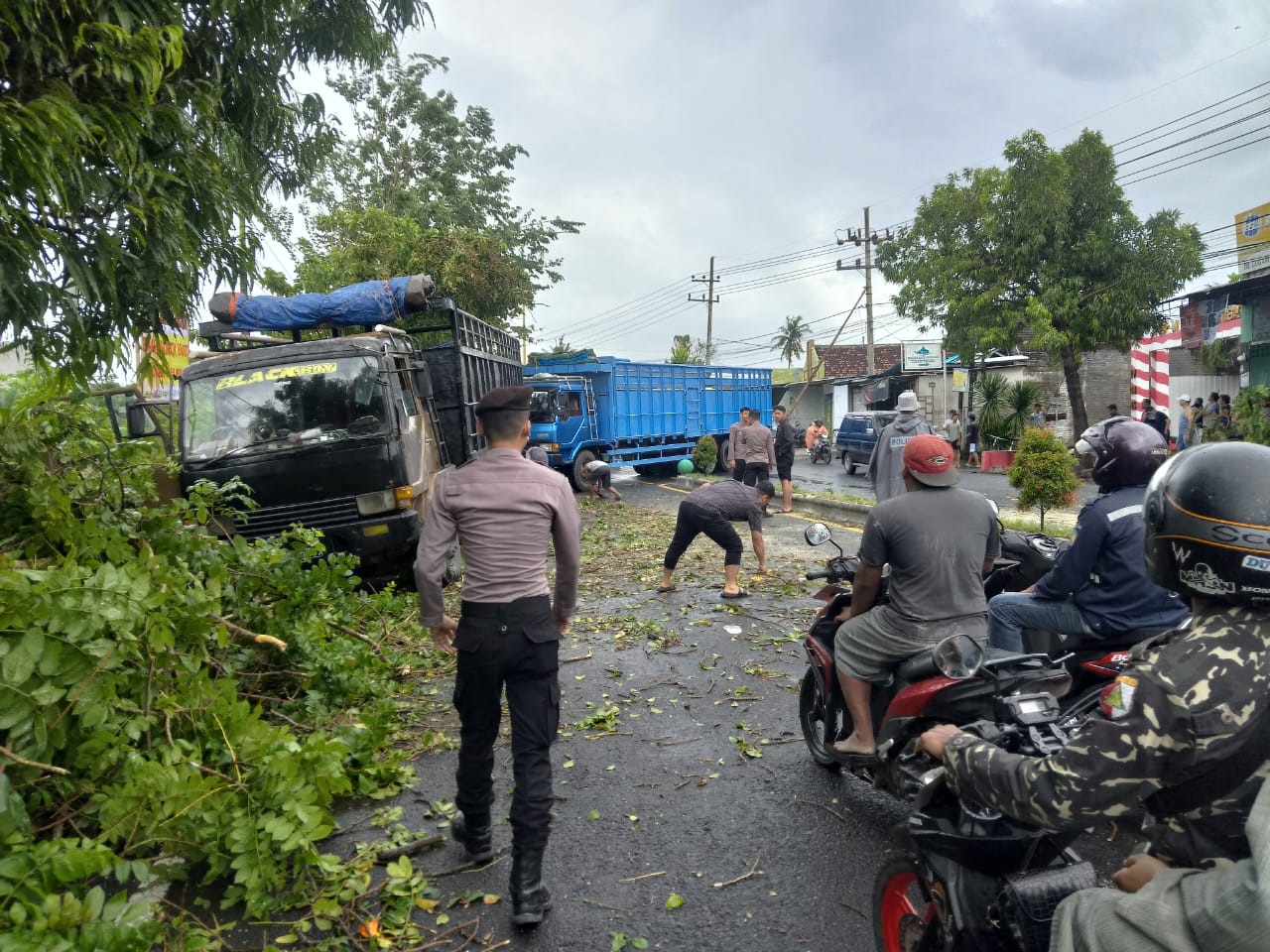 Gerak Cepat Polresta Banyuwangi Bersama Instansi Lain Atasi Pohon Tumbang