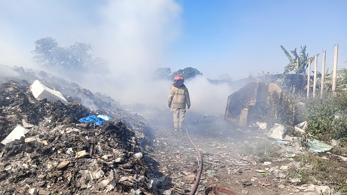  Kandang Ternak di Menganti Gresik Terbakar, Kerugian Ditaksir Rp 50 Juta