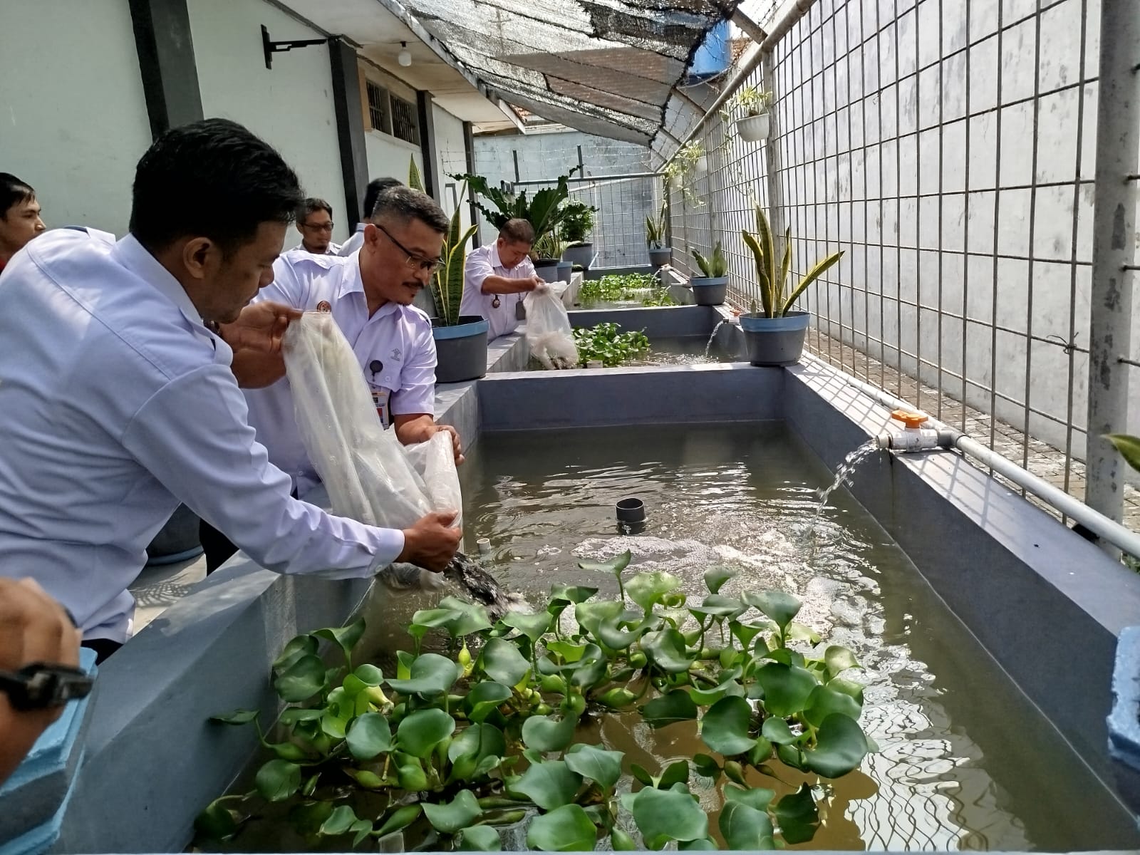 Tebar 2000 Benih Ikan Nila, Lapas Jember Wujudkan Ketahanan Pangan dan Asah Kemandirian Warga Binaan