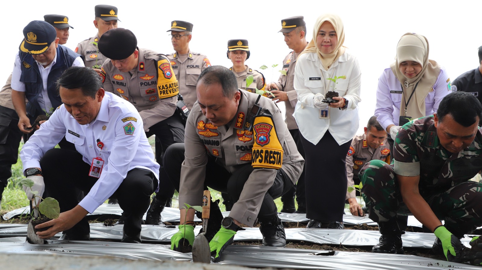 Wujudkan Ketahanan Pangan di Tengah Keterbatasan Lahan