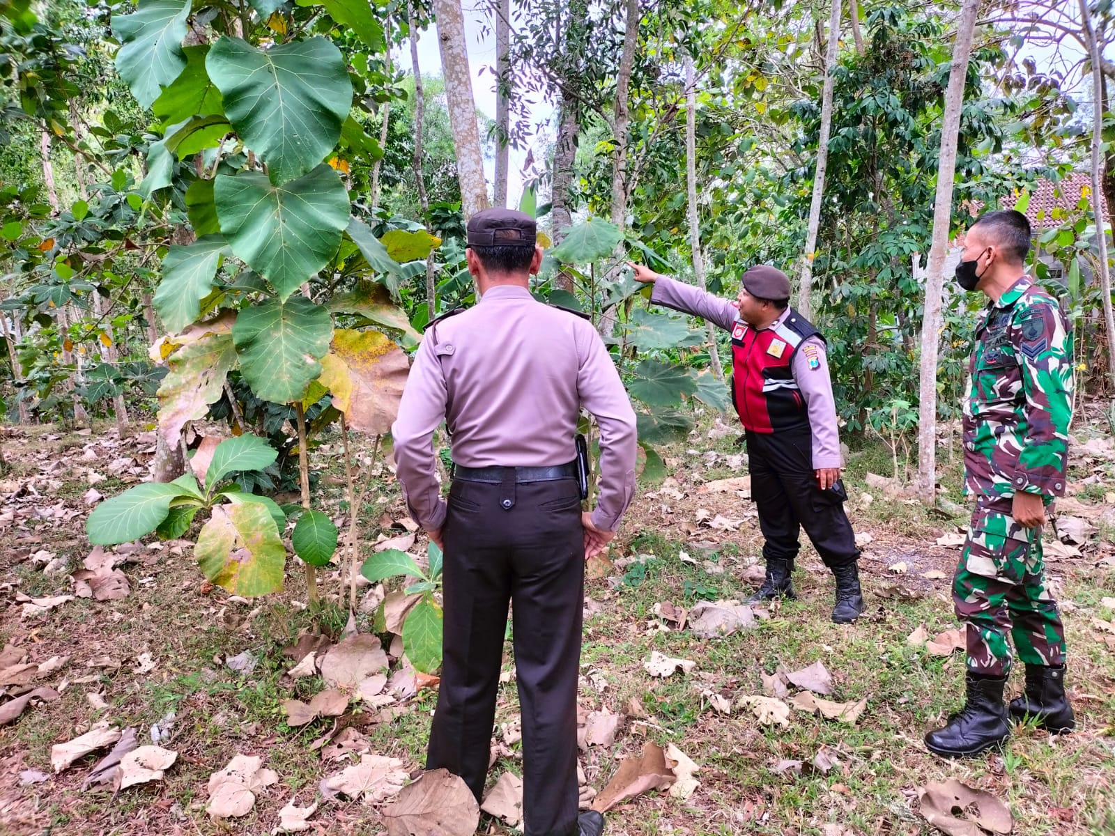 Polisi Petakan Titik Rawan Karhutla di Tulungagung 