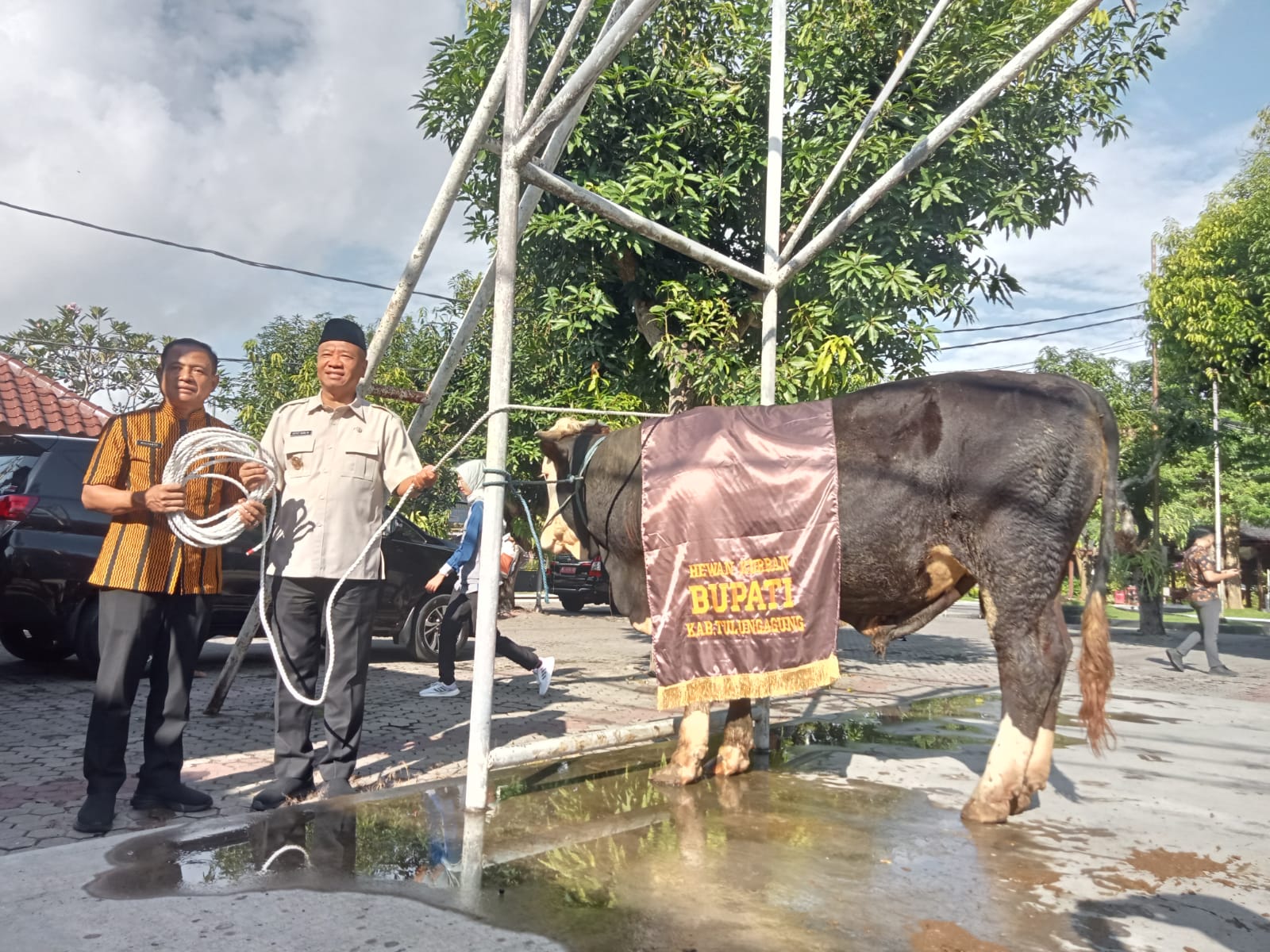 Jelang Iduladha, Pemkab Tulungagung Salurkan 13 Ekor Sapi dan 4 Kambing Kurban untuk Masyarakat Pelosok