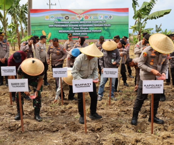 Polres Tulungagung bersama Forkopimda Kompak Tanam Jagung Kuartal IV