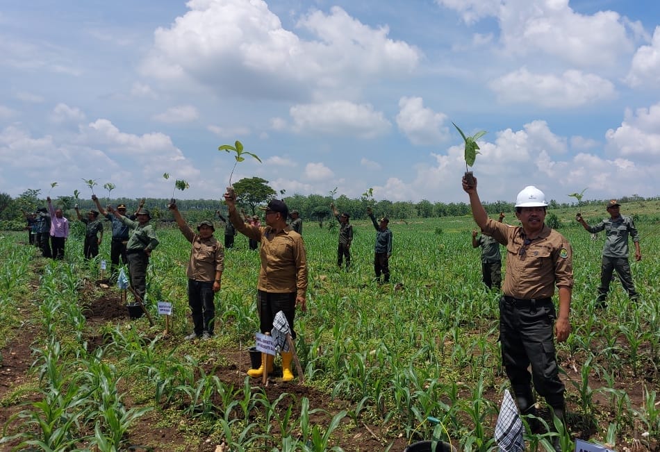 Dalam Rangka HMPI, Perhutani Tanam Pohon Bersama MDH